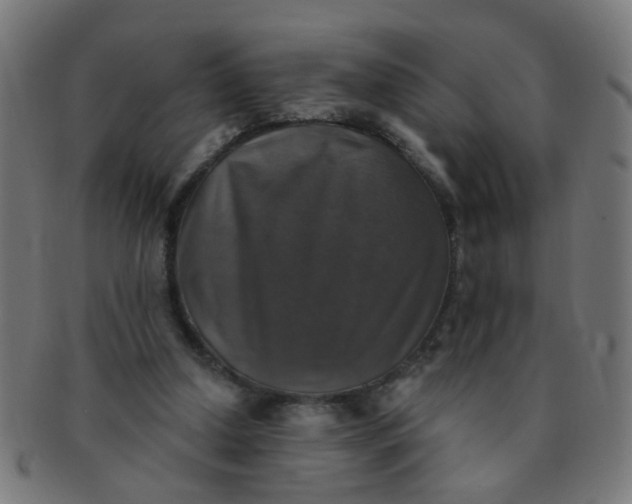 X0000091350250200708241254