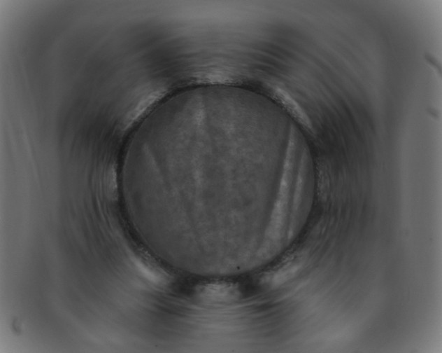 X0000091350251200708241254