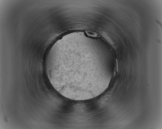 X0000091350252200708241254