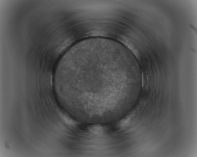 X0000091350253200708241254