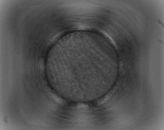 X0000091350257200708241254