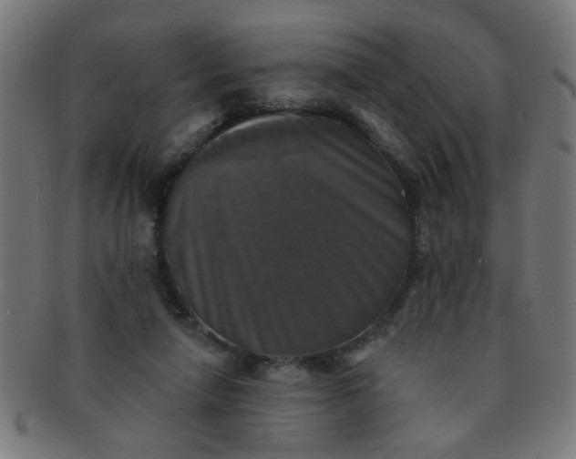 X0000091350258200708241254