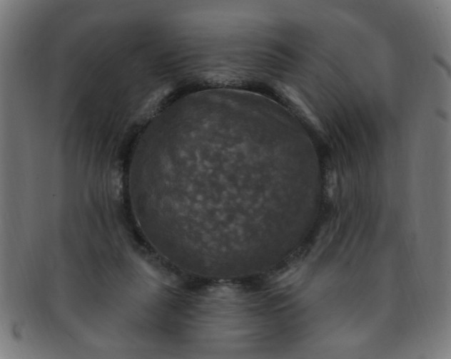 X0000091350259200708241254