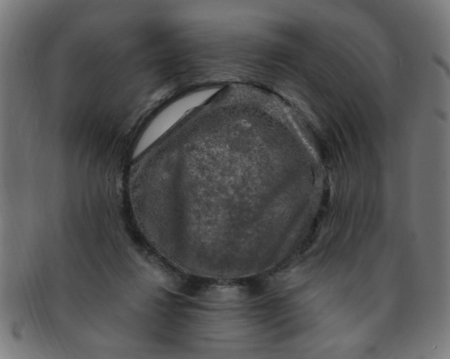 X0000091350260200708241254