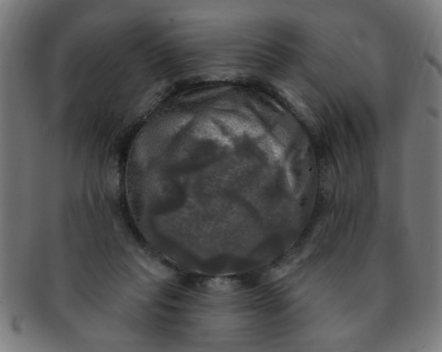 X0000091350261200708241254