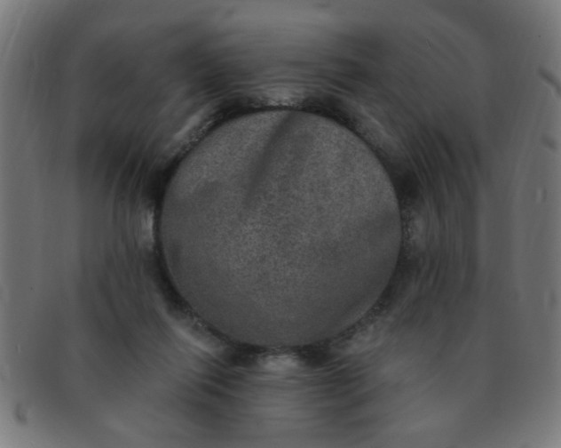 X0000091350262200708241254