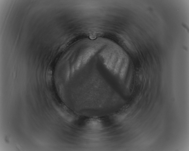 X0000091350263200708241254