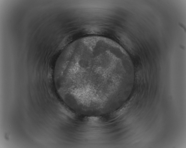 X0000091350265200708241254