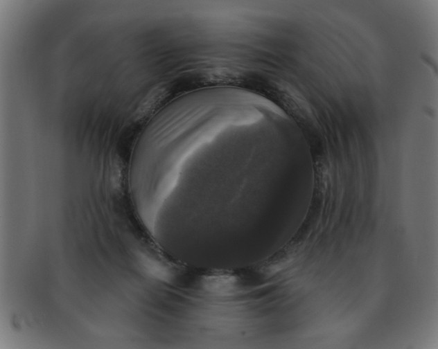 X0000091350266200708241254