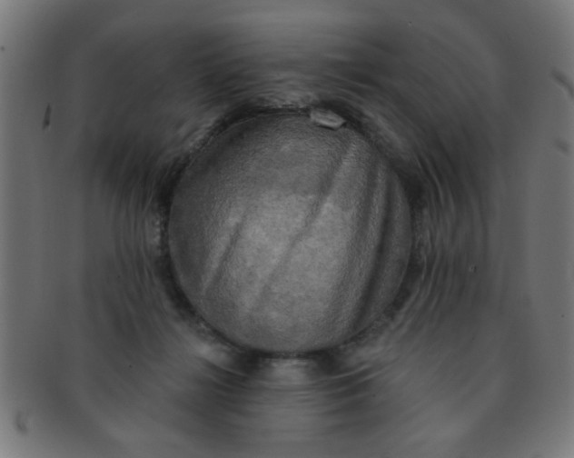 X0000091350268200708241254