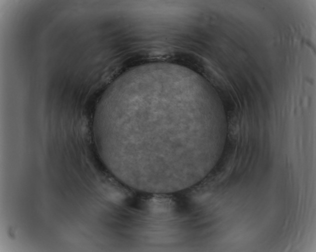 X0000091350270200708241254