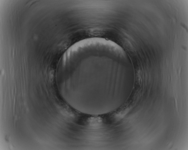 X0000091350271200708241254