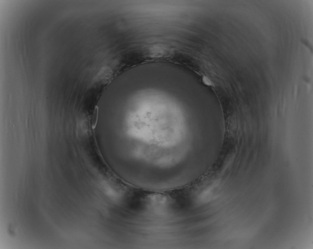 X0000091350272200708241254