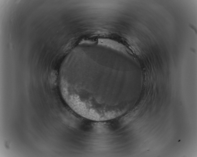 X0000091350273200708241254