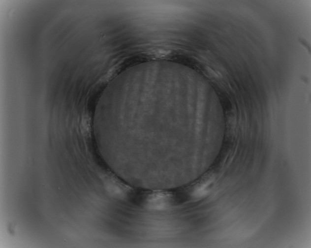 X0000091350274200708241254