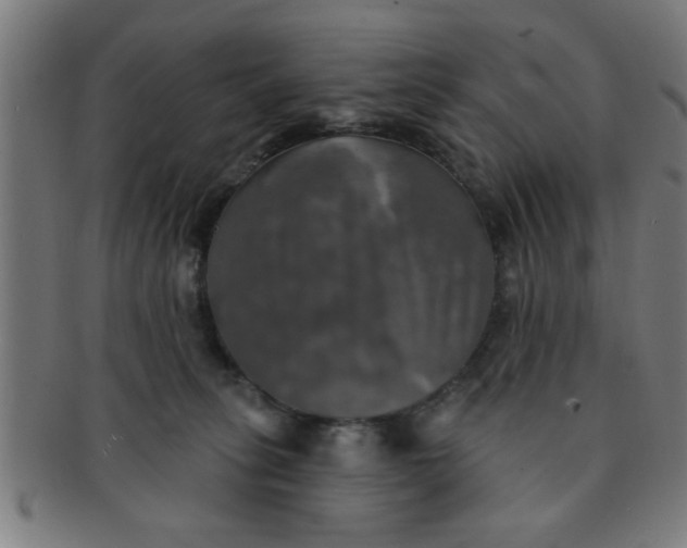 X0000091350275200708241254
