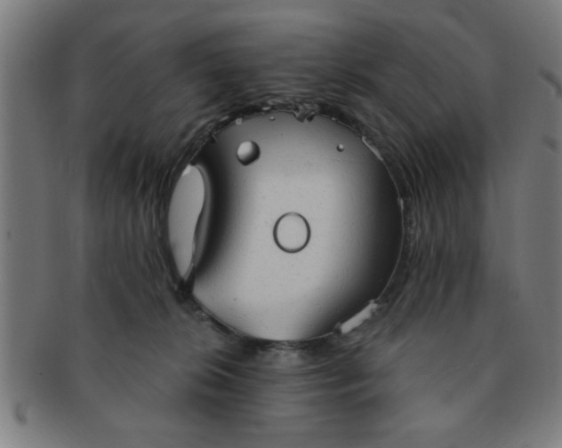 X0000091350276200708241254