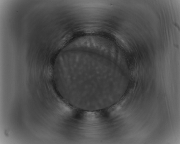 X0000091350277200708241254