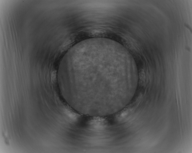X0000091350278200708241254