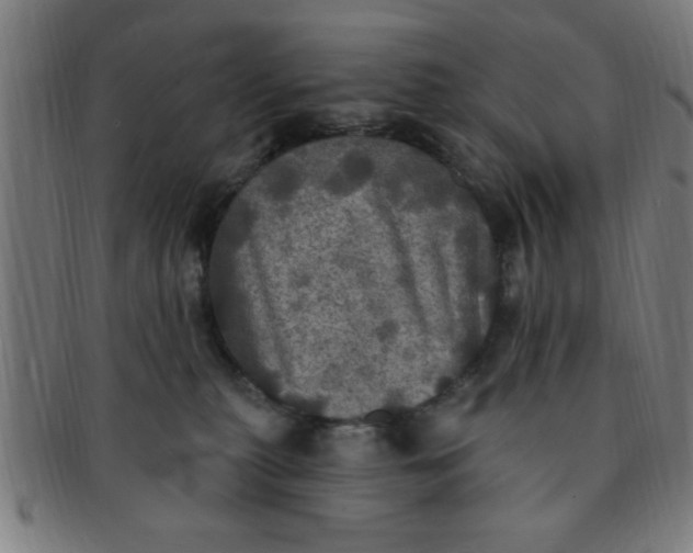 X0000091350279200708241254