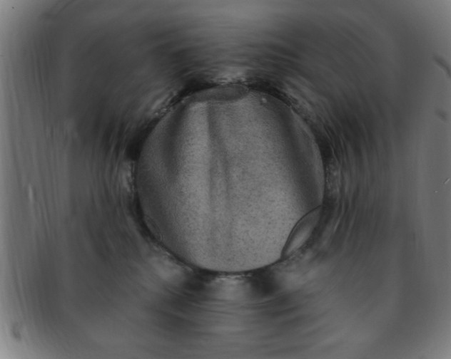 X0000091350280200708241254