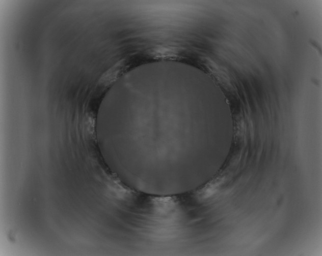 X0000091350281200708241254