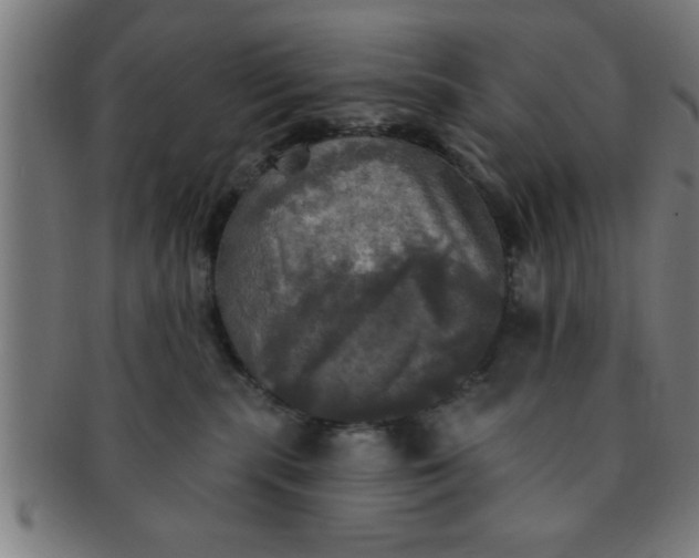 X0000091350283200708241254