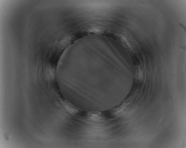 X0000091350285200708241254
