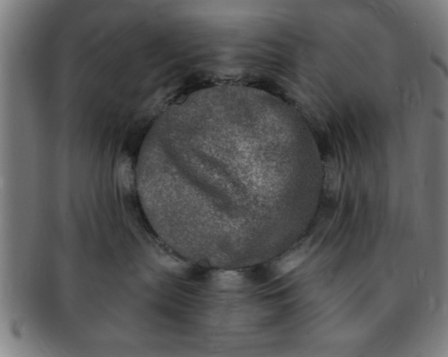 X0000091350287200708241254