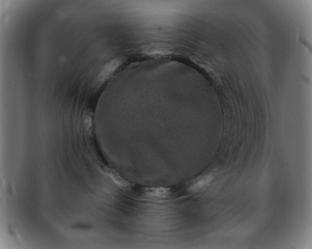 X0000091350288200708241254