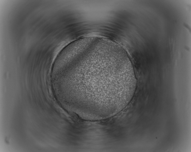 X0000091350289200708241253