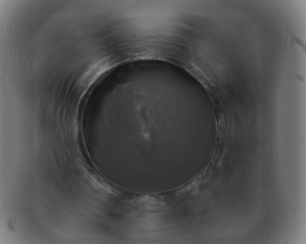 X0000091350290200708241253