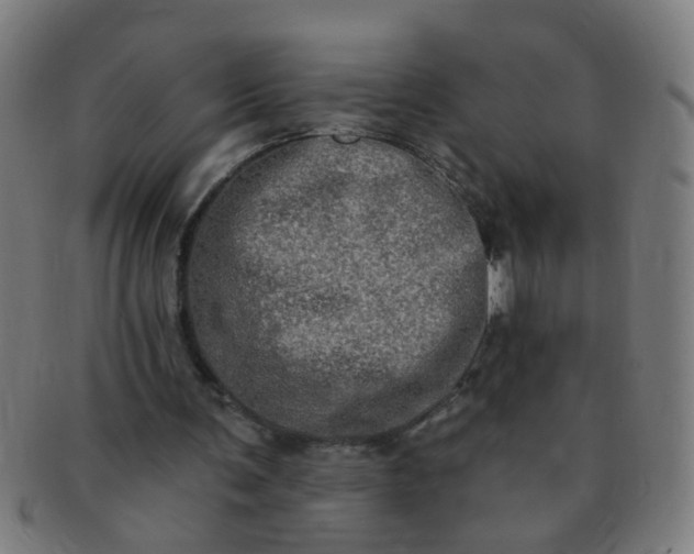 X0000091350291200708241253