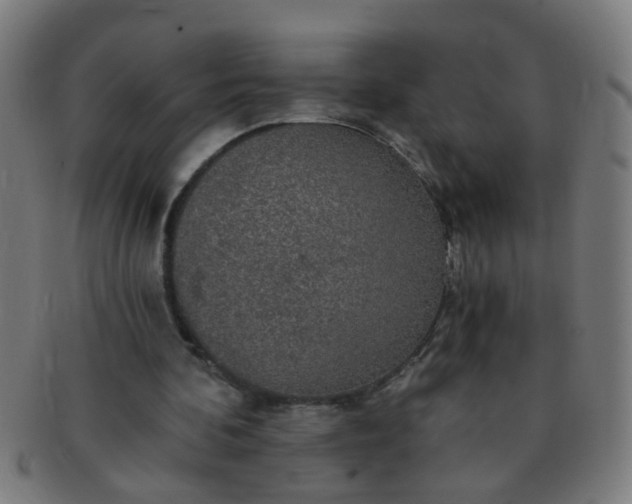 X0000091350292200708241253