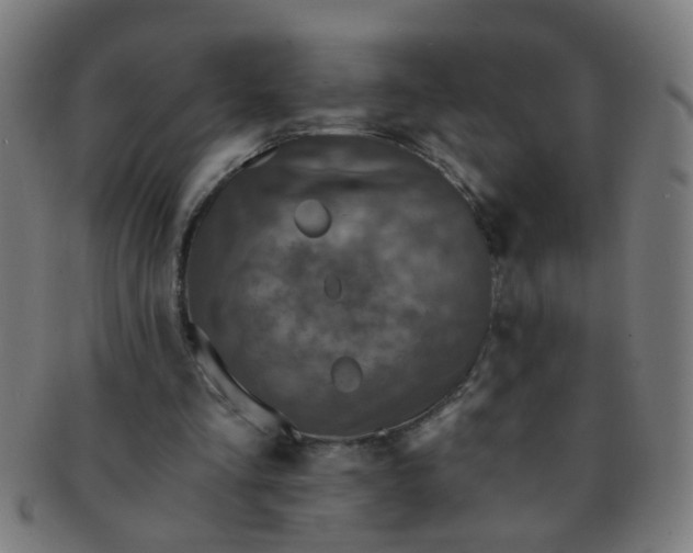 X0000091350293200708241253