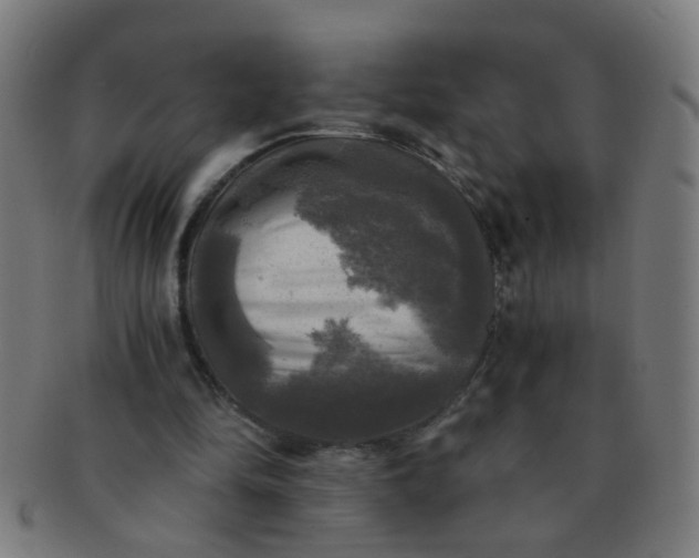 X0000091350294200708241253