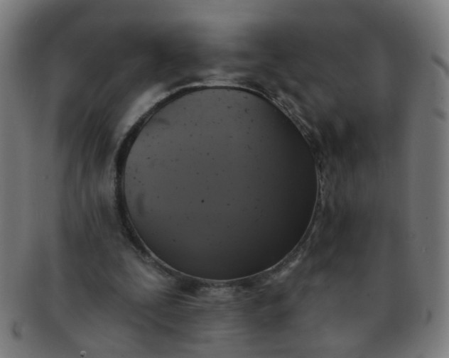 X0000091350295200708241253