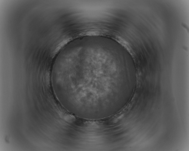X0000091350297200708241253
