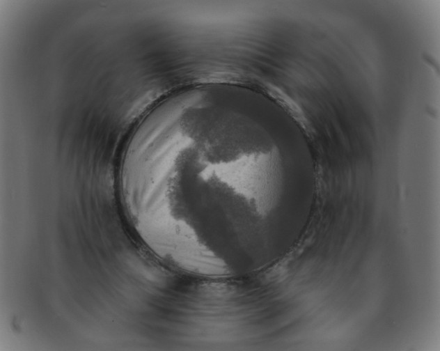 X0000091350298200708241253