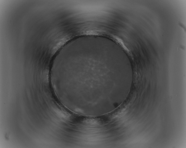 X0000091350299200708241253