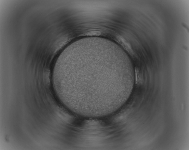 X0000091350300200708241253