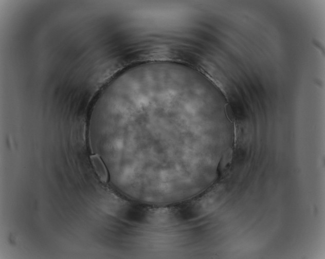 X0000091350301200708241253