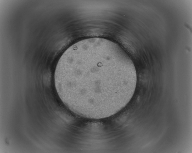 X0000091350304200708241253