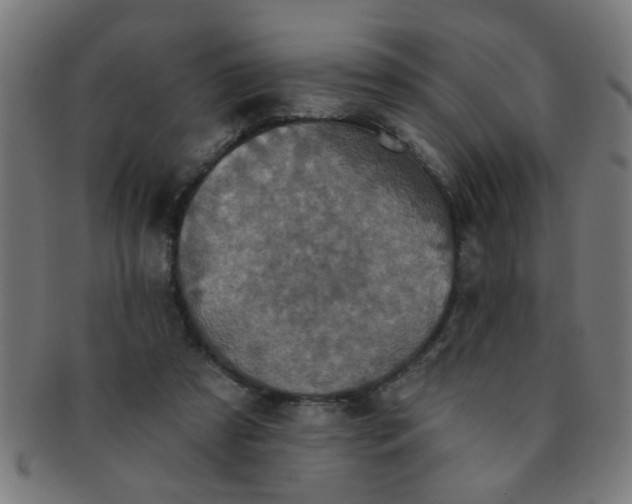 X0000091350305200708241253