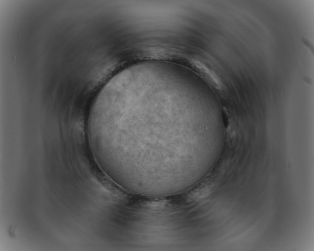 X0000091350306200708241253