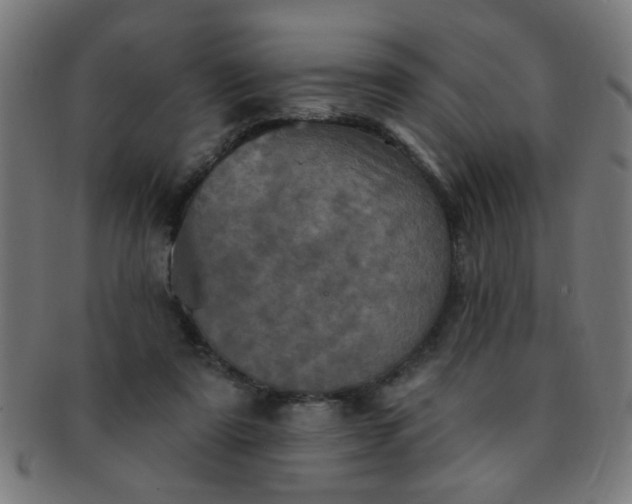 X0000091350307200708241253