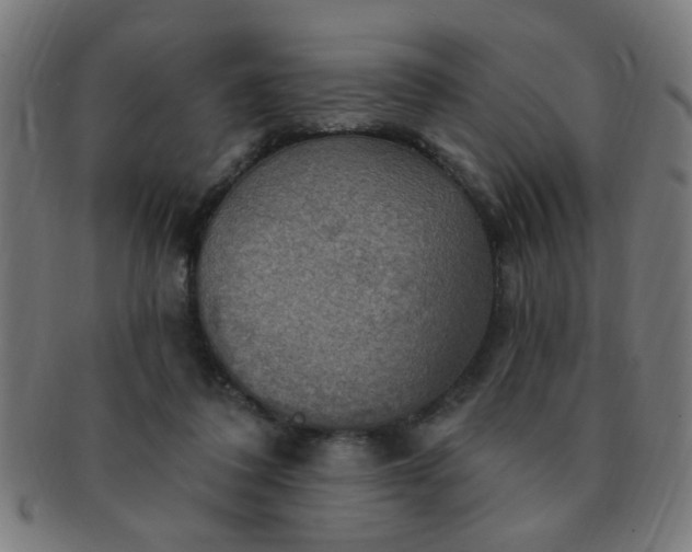 X0000091350308200708241253