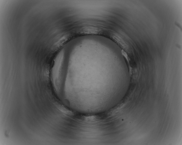 X0000091350309200708241253