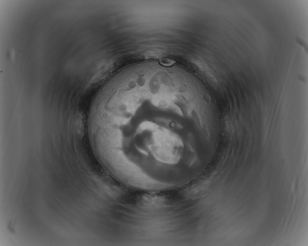 X0000091350311200708241253