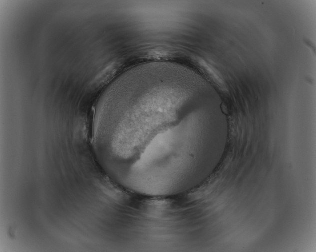 X0000091350313200708241253